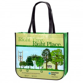 Custom Full-Color Laminated Non-Woven Round Cornered Promotional Tote Bag 16"x14"x6" with Logo