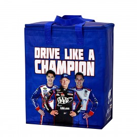 Promotional Custom 145g Laminated Woven Insulated Cooler Bag 12"x15"x7"
