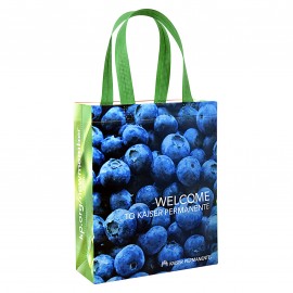 Custom 120g Laminated Non-Woven Gift Bag 9"x12"x4" with Logo  Custom 120g Laminated Non-Woven Gift Bag 9"x12"x4" with Logo