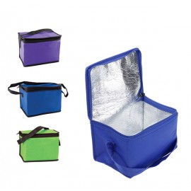  6 Pack Insulated Lunch Bag With Handle