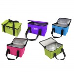Insulated Lunch Cooler Bag with Logo