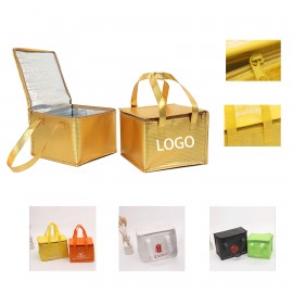 10 Inch Non Woven Insulated Cooler Outdoor Lunch Bag With Handle with Logo  10 Inch Non Woven Insulated Cooler Outdoor Lunch Bag With Handle with Logo