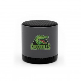 Soundstream Wireless Speaker with Logo