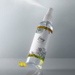 Hand Sanitizer Spray: 4 oz with Logo