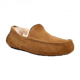UGG Men's Ascot Slipper Branded  UGG Men