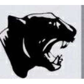 Custom Promotional Personalized Branded Tattoos | BRAVA