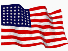 Animated Flag
